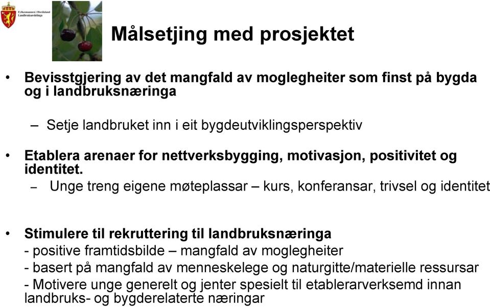 Unge treng eigene møteplassar kurs, konferansar, trivsel og identitet Stimulere til rekruttering til landbruksnæringa - positive framtidsbilde