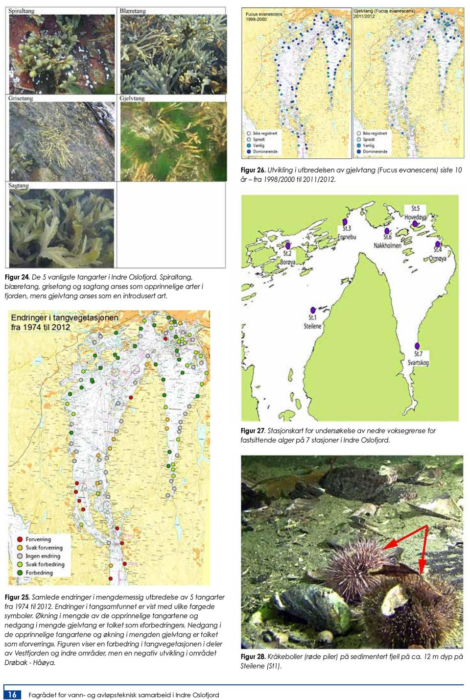 Stasjonskart for undersøkelse av nedre voksegrense for fastsittende alger på 7 stasjoner i Indre Oslofjord. Figur 25. Samlede endringer i mengdemessig utbredelse av 5 tangarter fra 1974 til 2012.
