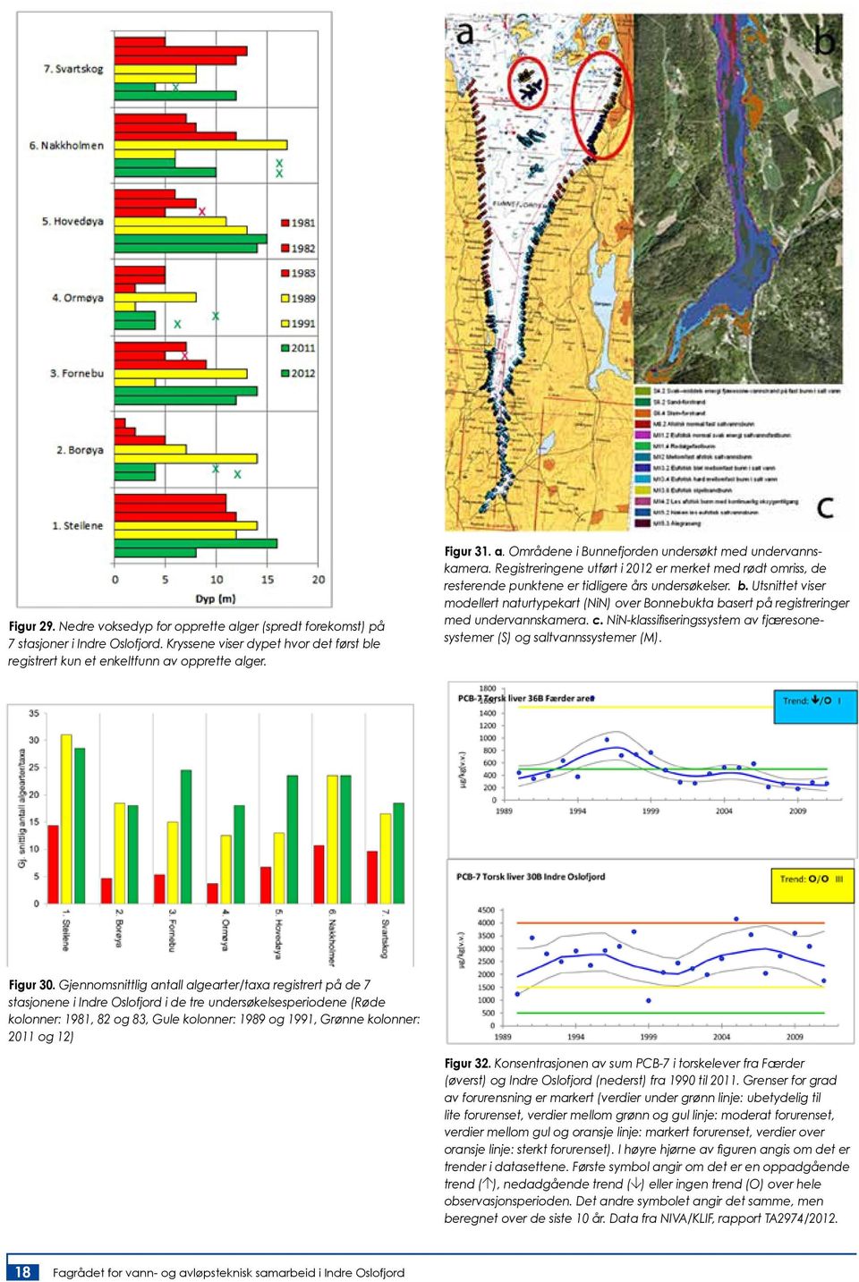 Utsnittet viser modellert naturtypekart (NiN) over Bonnebukta basert på registreringer med undervannskamera. c. NiN-klassifiseringssystem av fjæresonesystemer (S) og saltvannssystemer (M). Figur 30.