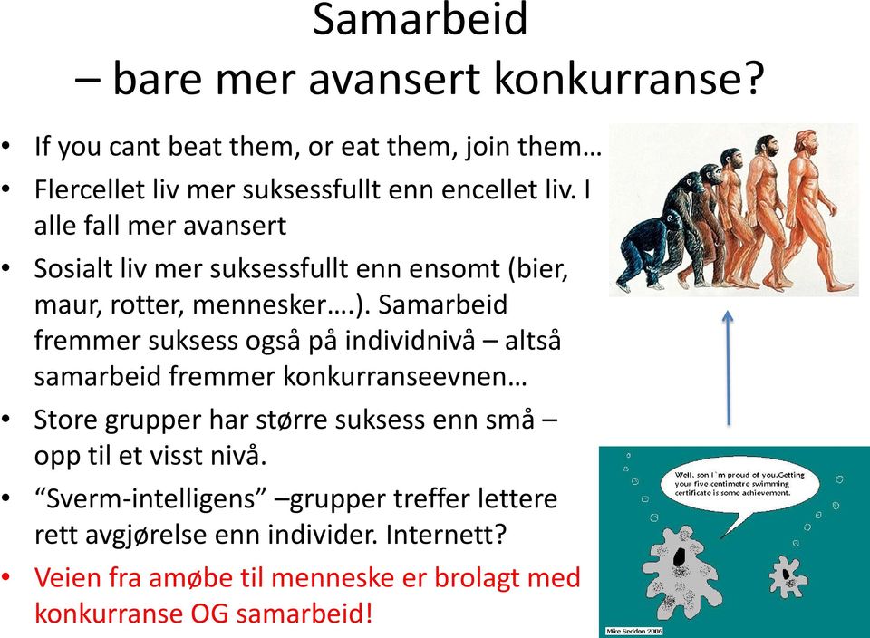 I alle fall mer avansert Sosialt liv mer suksessfullt enn ensomt (bier, maur, rotter, mennesker.).