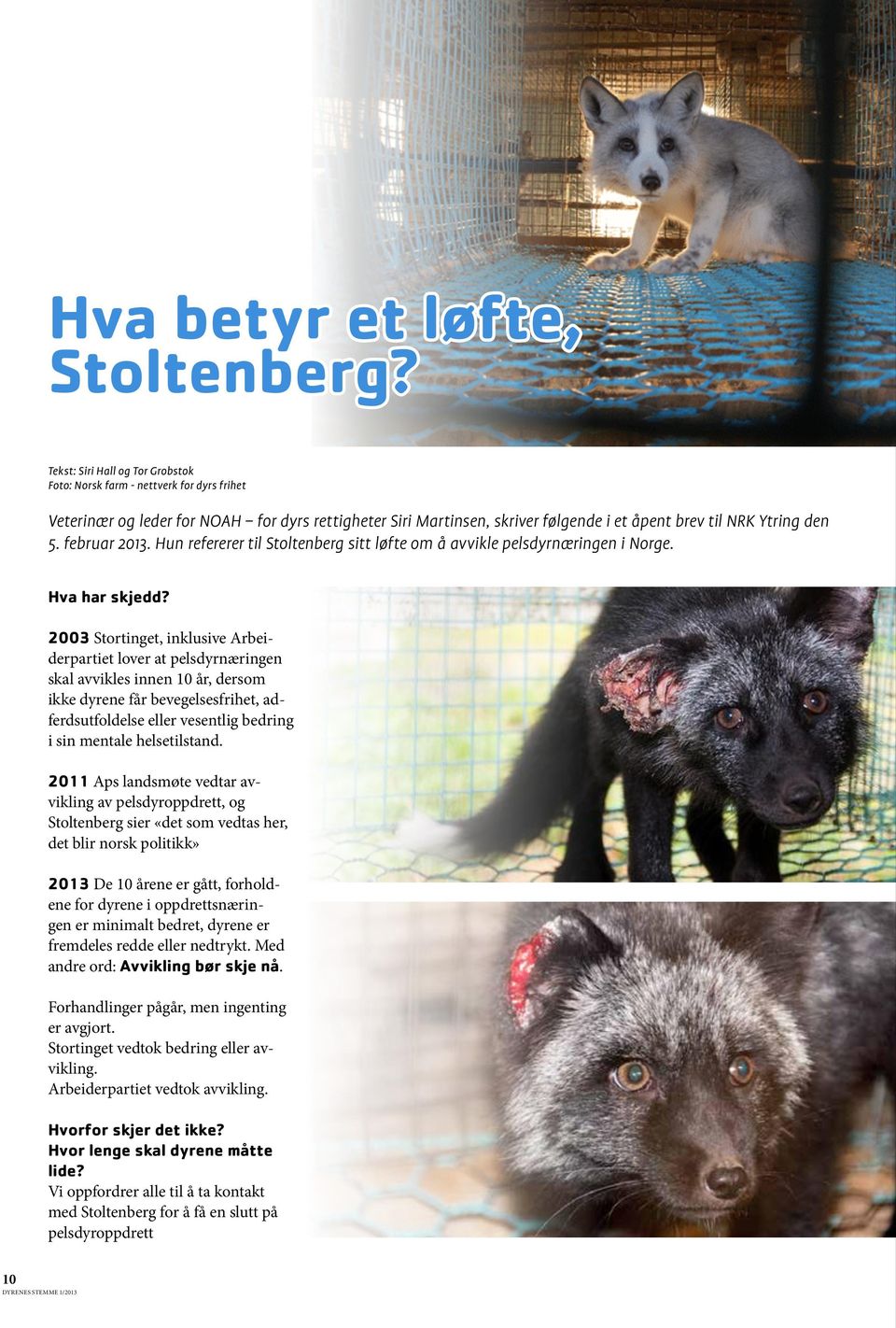 i et åpent brev til NRK Ytring den 5. februar 2013. Hun refererer til Stoltenberg sitt løfte om å avvikle pelsdyrnæringen i Norge. Fra norsk farm nettverk for dyrs frihet Hva har skjedd?