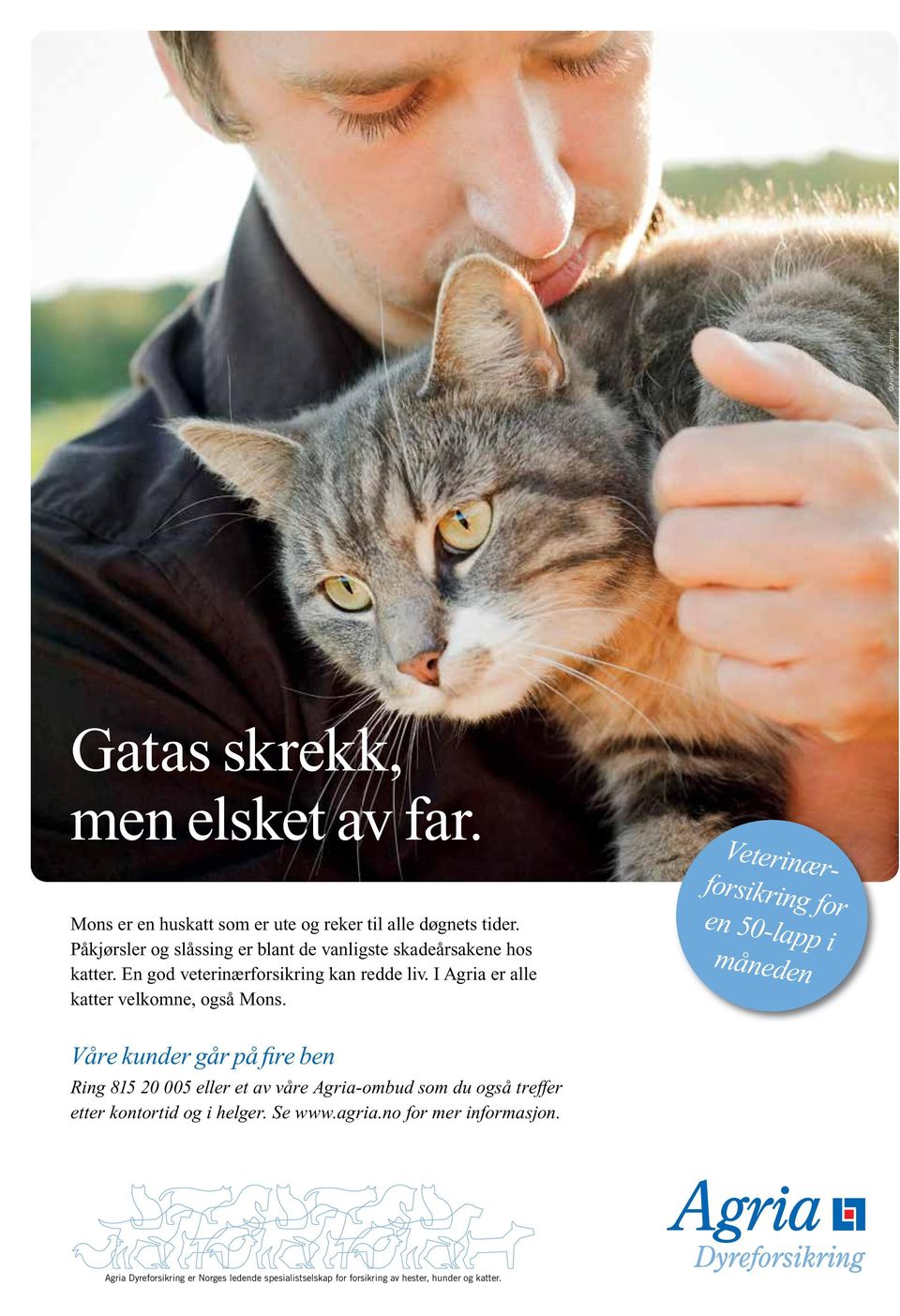 I Agria er alle katter velkomne, også Mons.