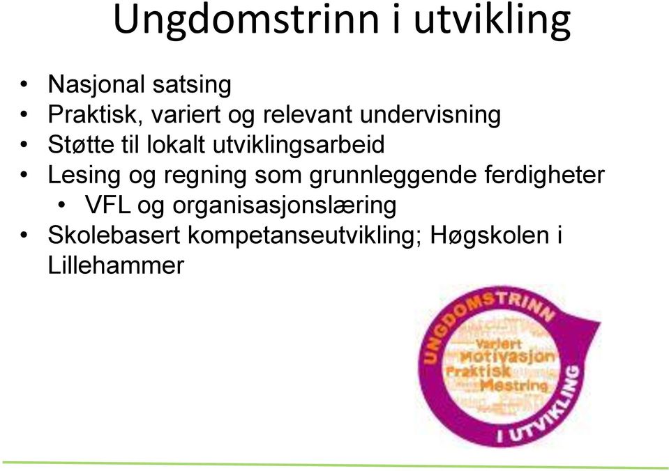 Lesing og regning som grunnleggende ferdigheter VFL og