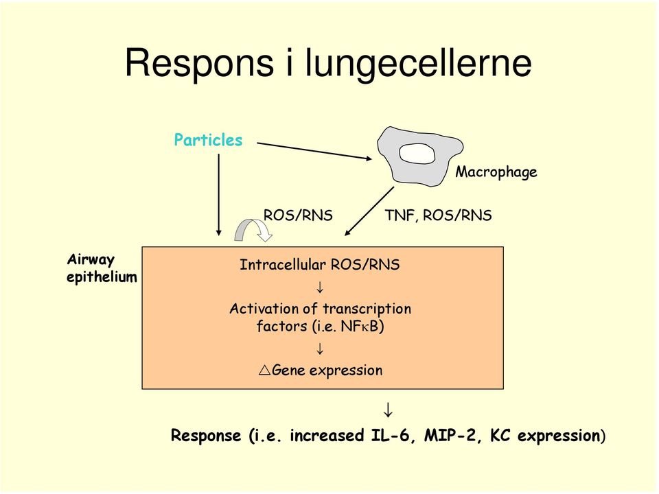 Activation of transcription factors (i.e.