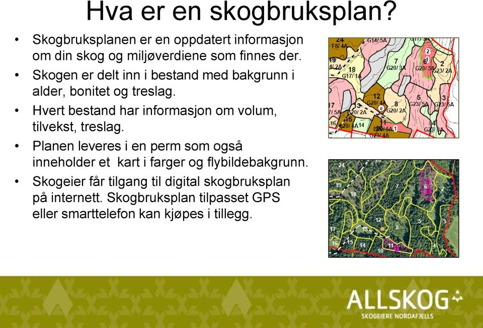 Hvert bestand har informasjon om volum, tilvekst, treslag.