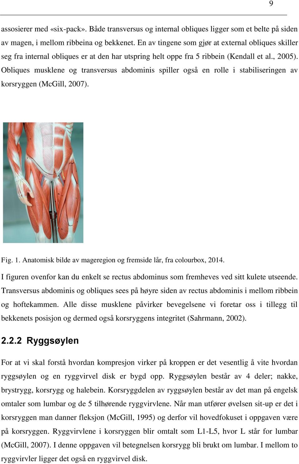 Obliques musklene og transversus abdominis spiller også en rolle i stabiliseringen av korsryggen (McGill, 2007). Fig. 1. Anatomisk bilde av mageregion og fremside lår, fra colourbox, 2014.