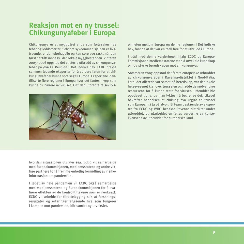 Vinteren 2005 2006 oppstod det et større utbrudd av chikungunyafeber på øya La Réunion i Det indiske hav.