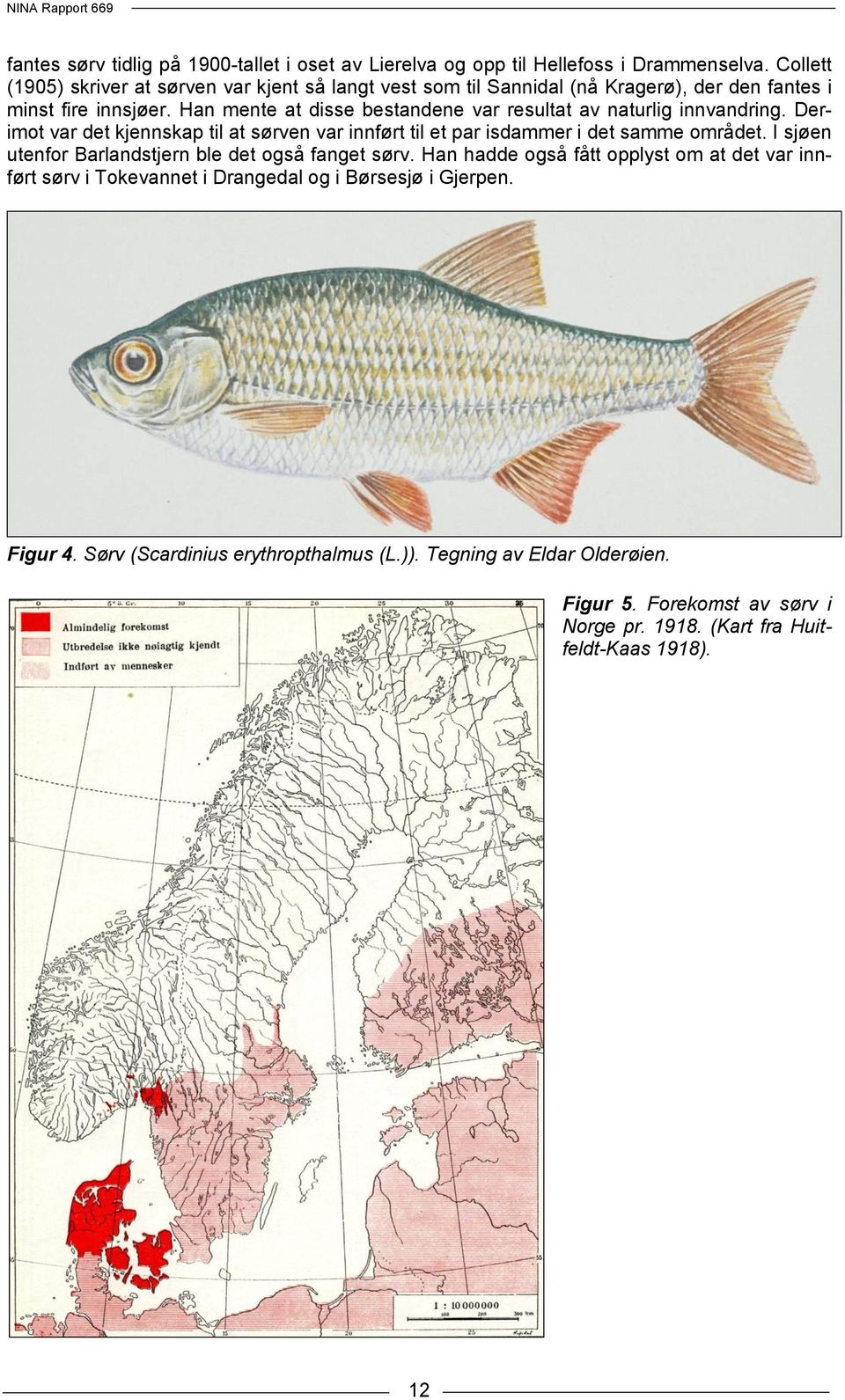 Han mente at disse bestandene var resultat av naturlig innvandring. Derimot var det kjennskap til at sørven var innført til et par isdammer i det samme området.