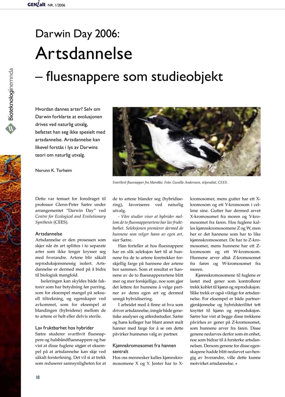 Dette var temaet for foredraget til professor Glenn-Peter Sætre under arrangementet Darwin Day ved Centre for Ecological and Evolutionary Synthesis (CEES).