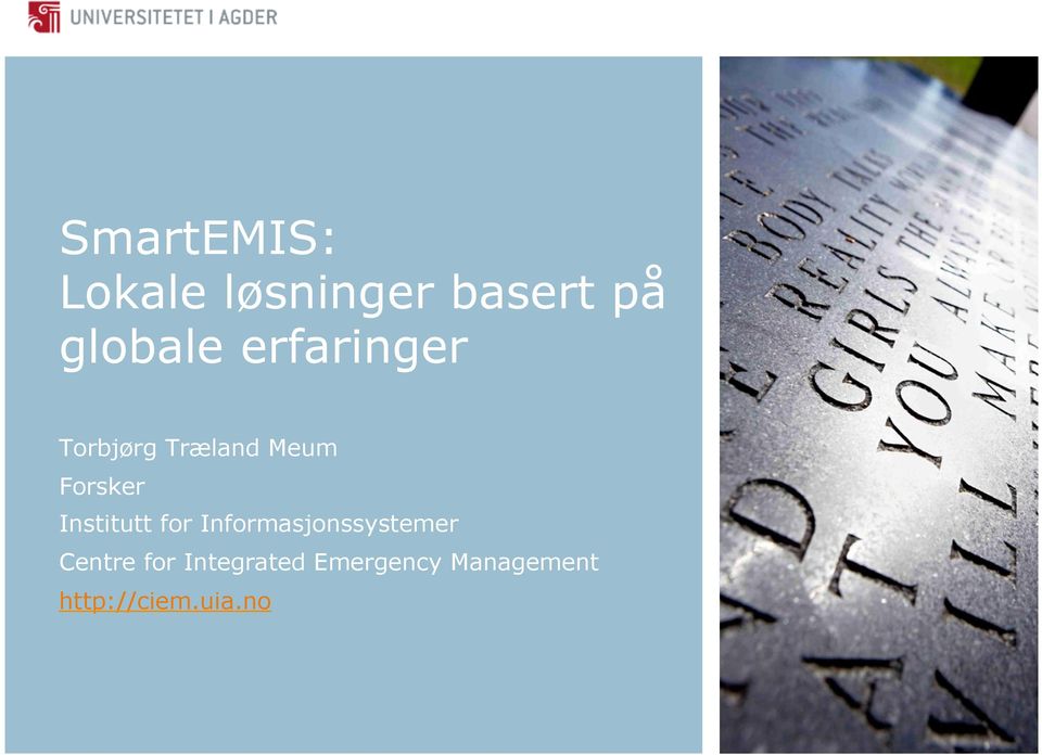 Institutt for Informasjonssystemer Centre for