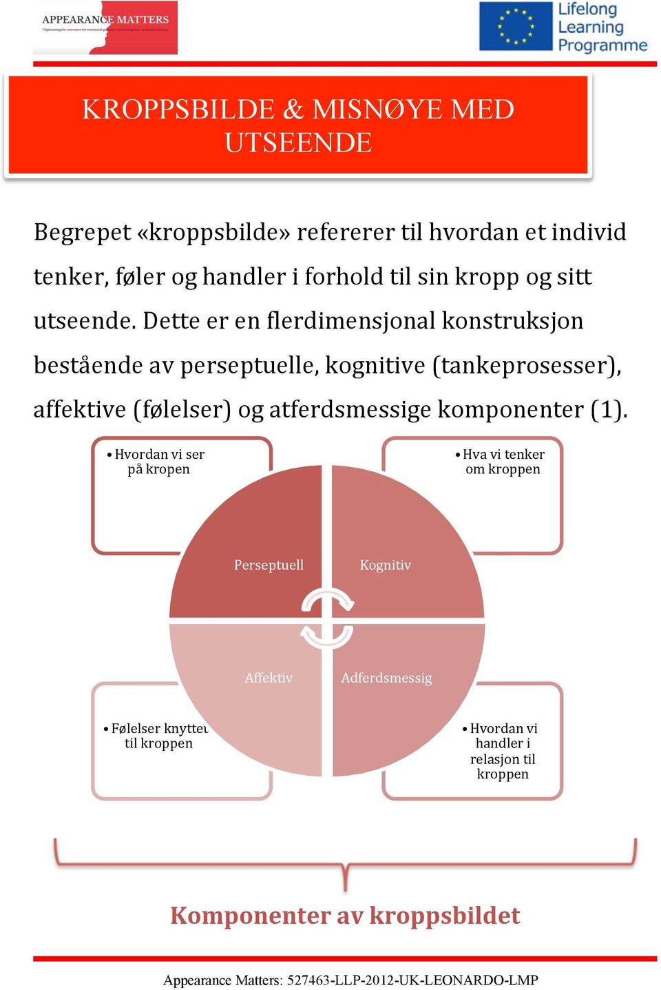 Dette er en flerdimensjonal konstruksjon bestående av perseptuelle, kognitive (tankeprosesser), affektive (følelser) og