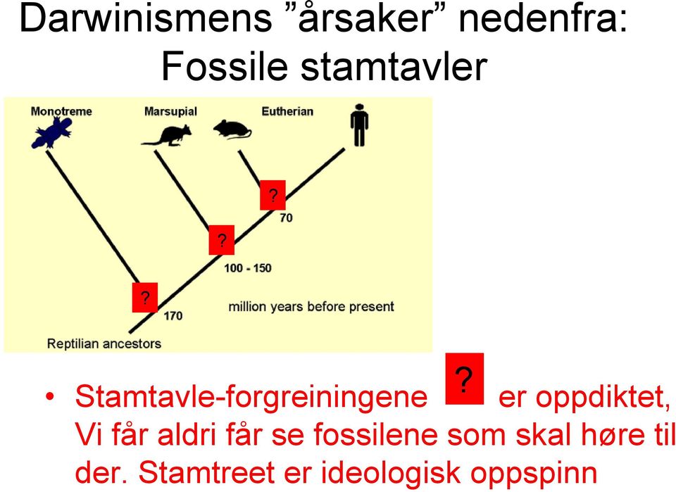 ?? Stamtavle-forgreiningene er oppdiktet, Vi