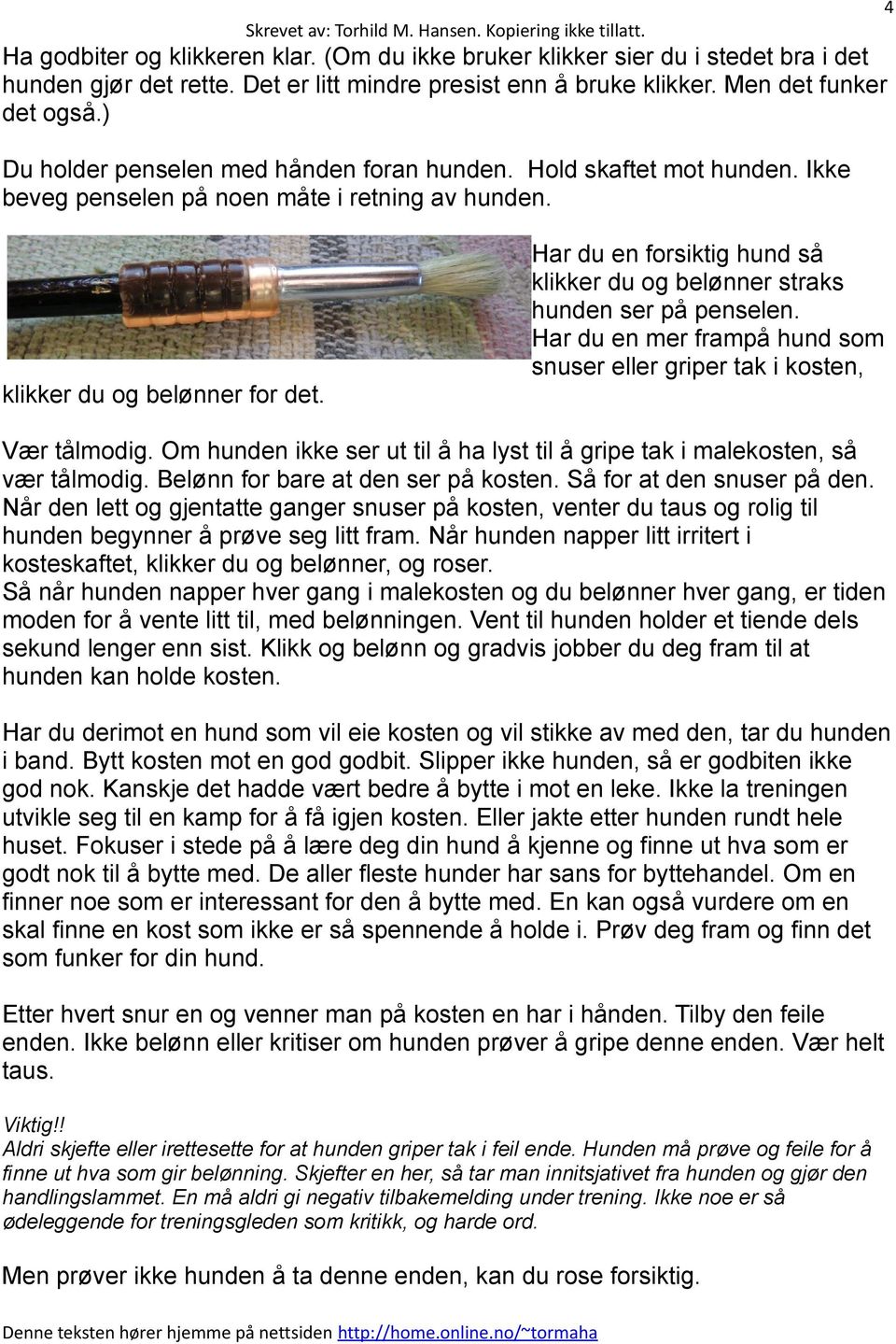 Har du en forsiktig hund så klikker du og belønner straks hunden ser på penselen. Har du en mer frampå hund som snuser eller griper tak i kosten, Vær tålmodig.