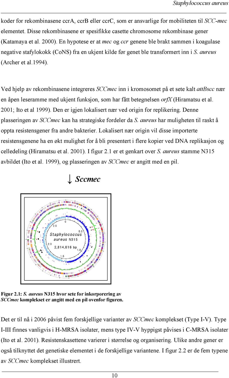 En hypotese er at mec og ccr genene ble brakt sammen i koagulase negative stafylokokk (CoNS) fra en ukjent kilde før genet ble transformert inn i S. aureus (Archer et al.1994).