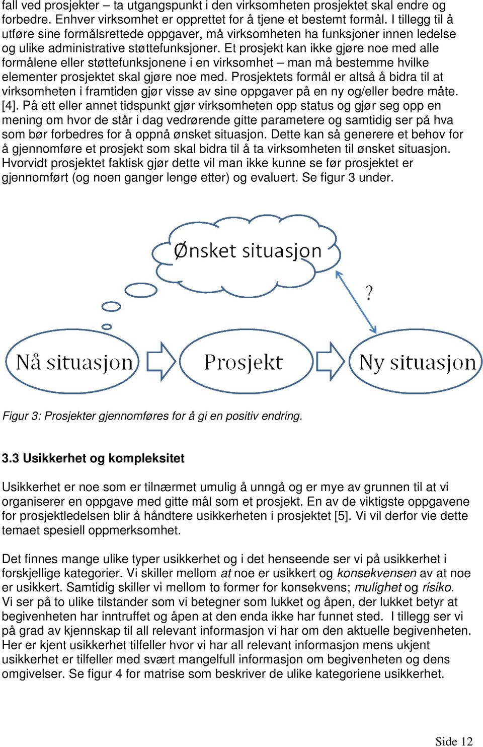 Et prosjekt kan ikke gjøre noe med alle formålene eller støttefunksjonene i en virksomhet man må bestemme hvilke elementer prosjektet skal gjøre noe med.