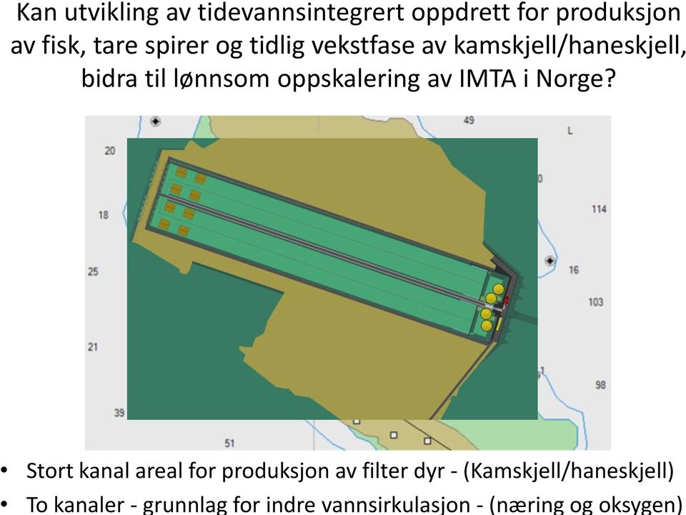 oppskalering av IMTA i Norge?