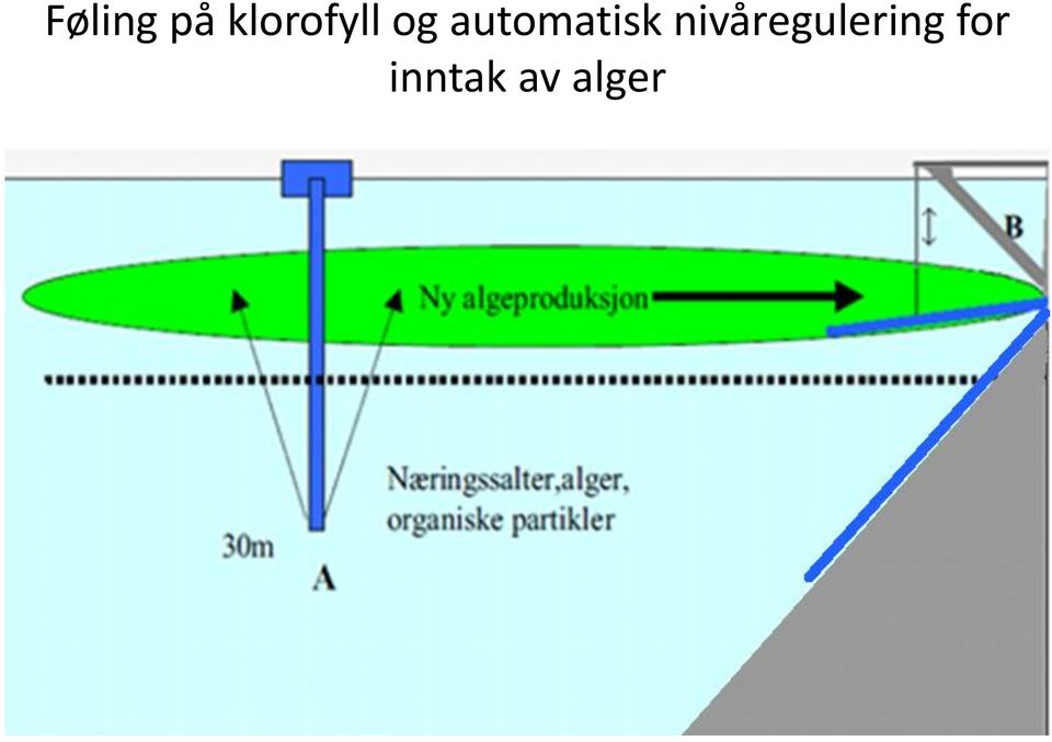 automatisk