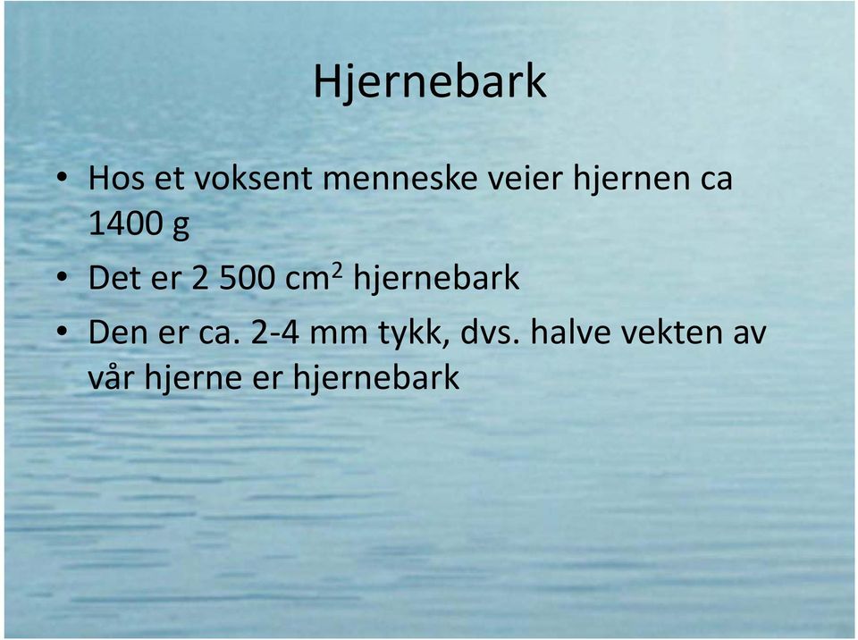 2 hjernebark Den er ca.