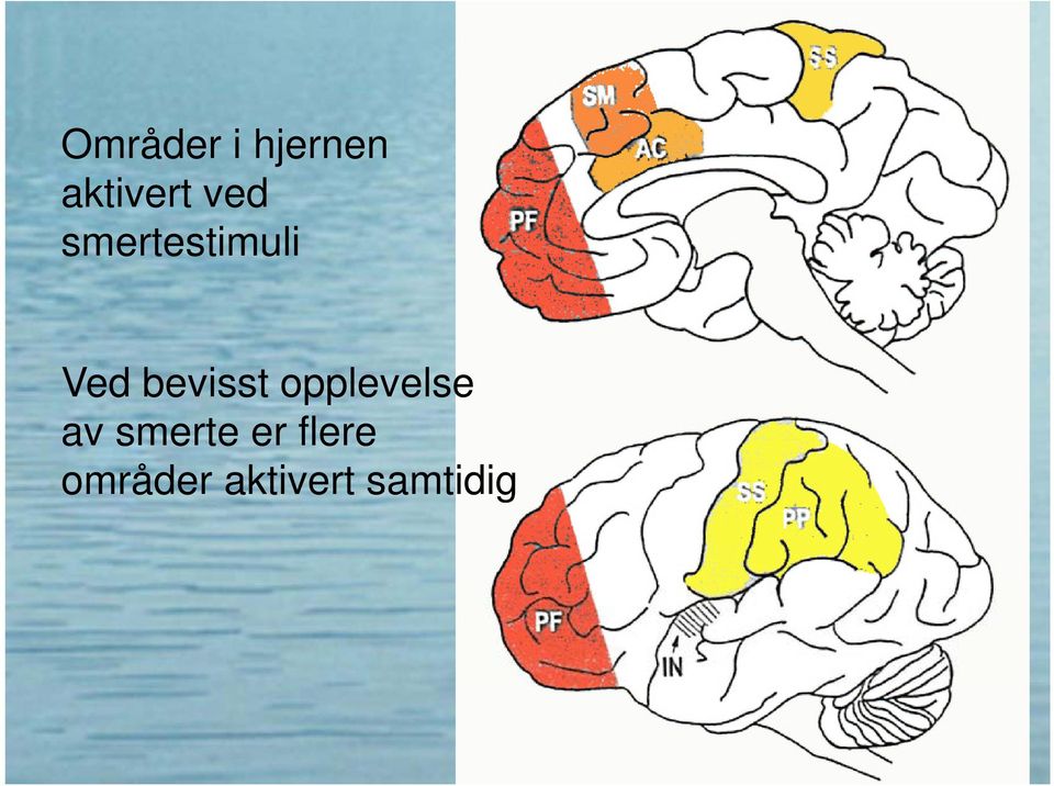 bevisst opplevelse av