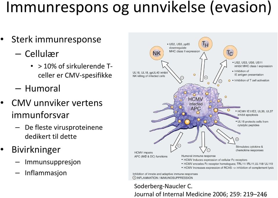 immunforsvar De flestevirusproteinene dedikert til dette Bivirkninger