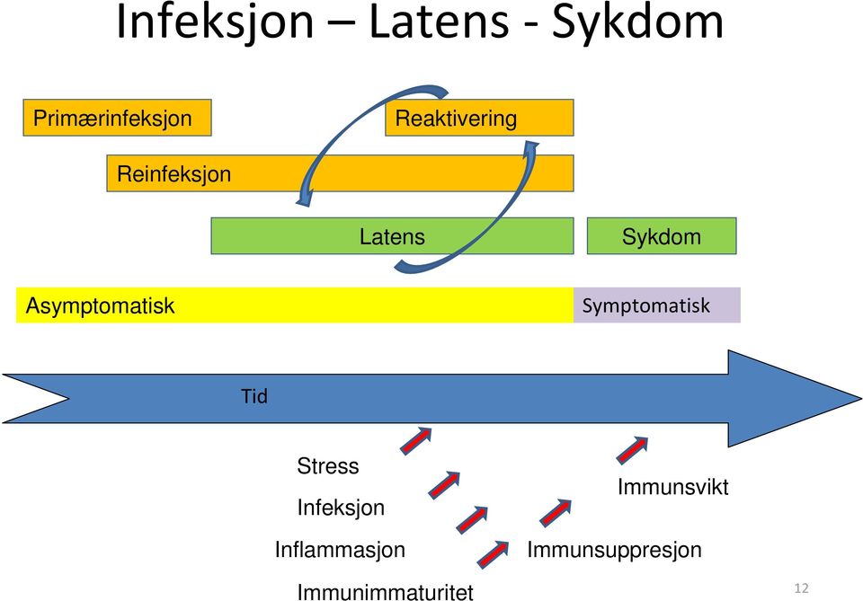 Asymptomatisk Symptomatisk Tid Stress