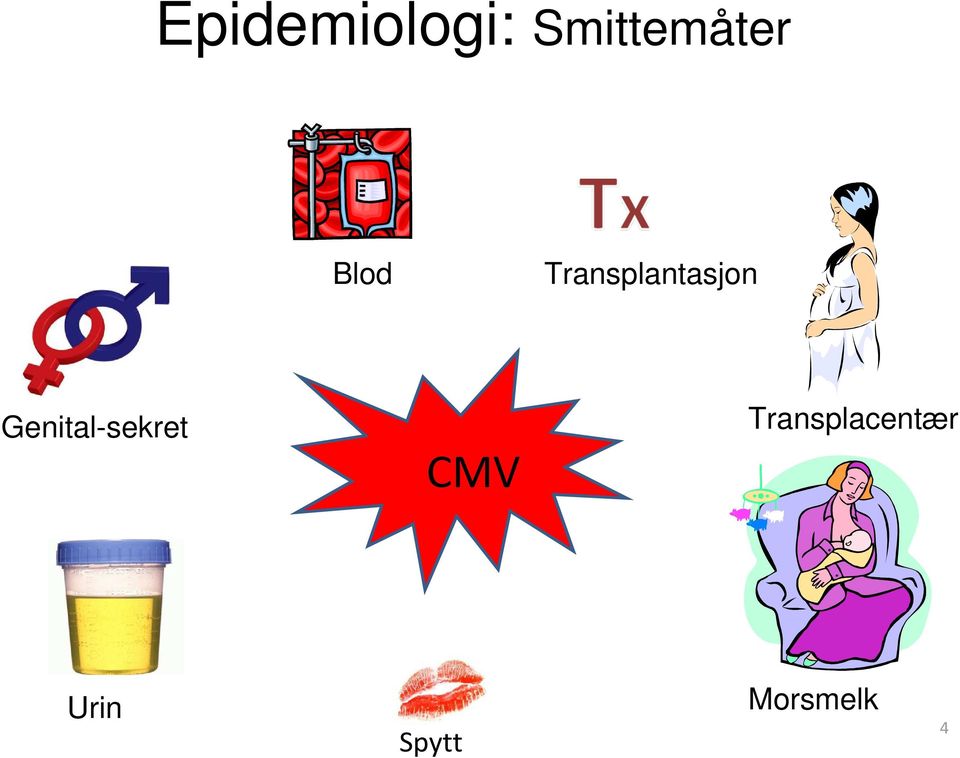 Genital-sekret CMV