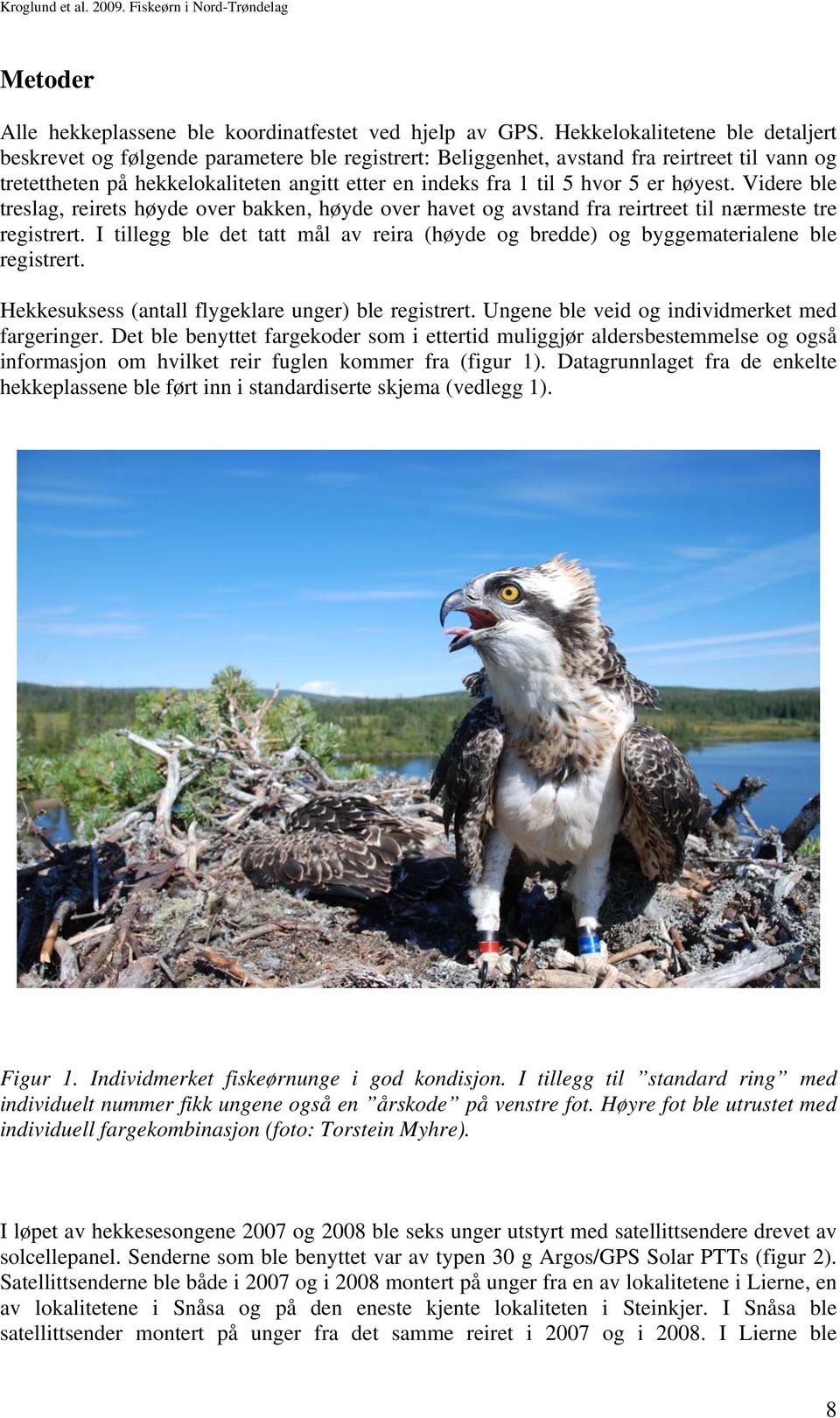 hvor 5 er høyest. Videre ble treslag, reirets høyde over bakken, høyde over havet og avstand fra reirtreet til nærmeste tre registrert.