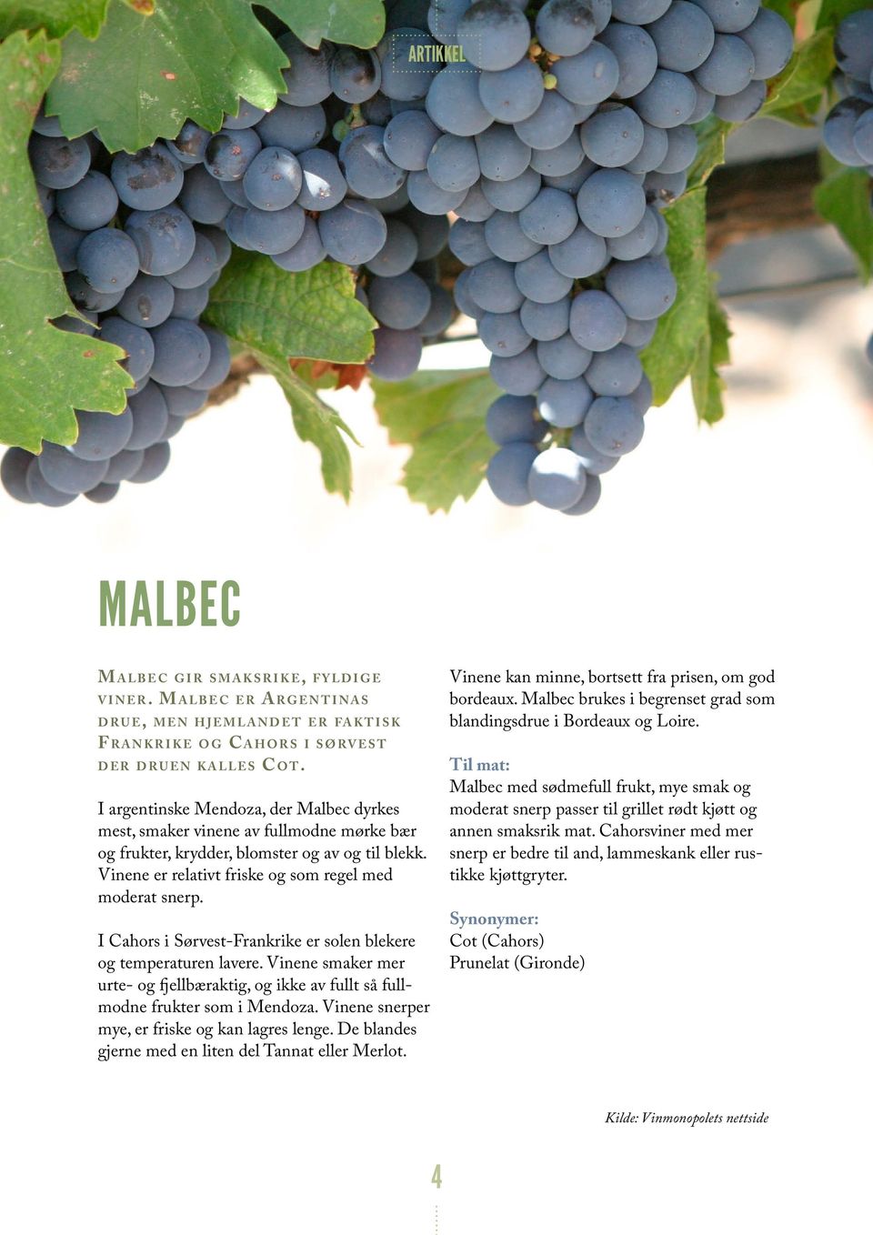I argentinske Mendoza, der Malbec dyrkes mest, smaker vinene av fullmodne mørke bær og frukter, krydder, blomster og av og til blekk. Vinene er relativt friske og som regel med moderat snerp.