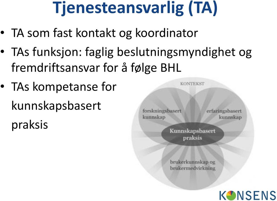 beslutningsmyndighet og fremdriftsansvar for