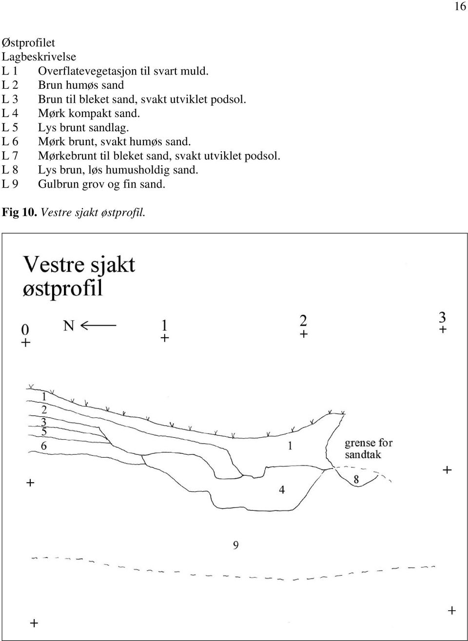 L 5 Lys brunt sandlag. L 6 Mørk brunt, svakt humøs sand.