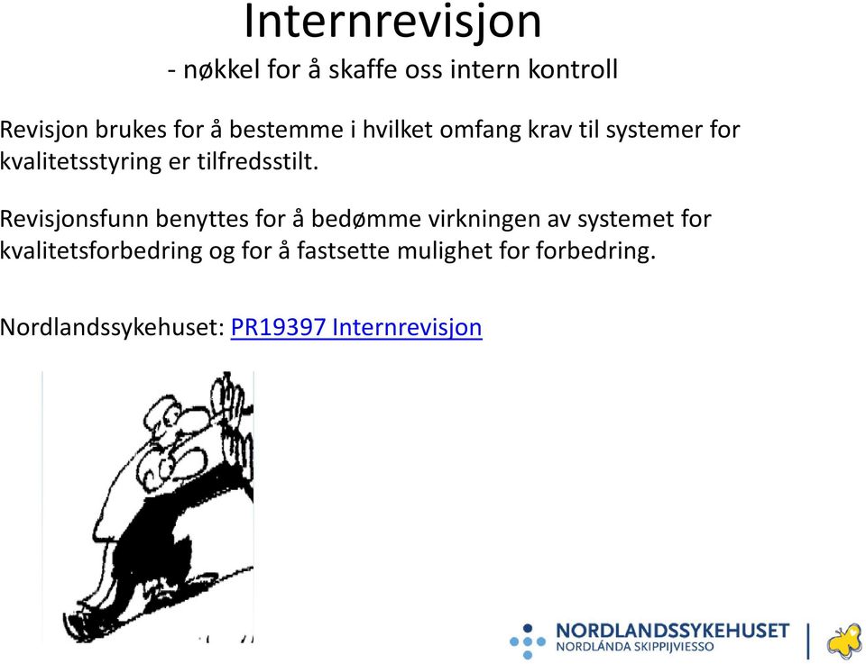 Revisjonsfunn benyttes for å bedømme virkningen av systemet for