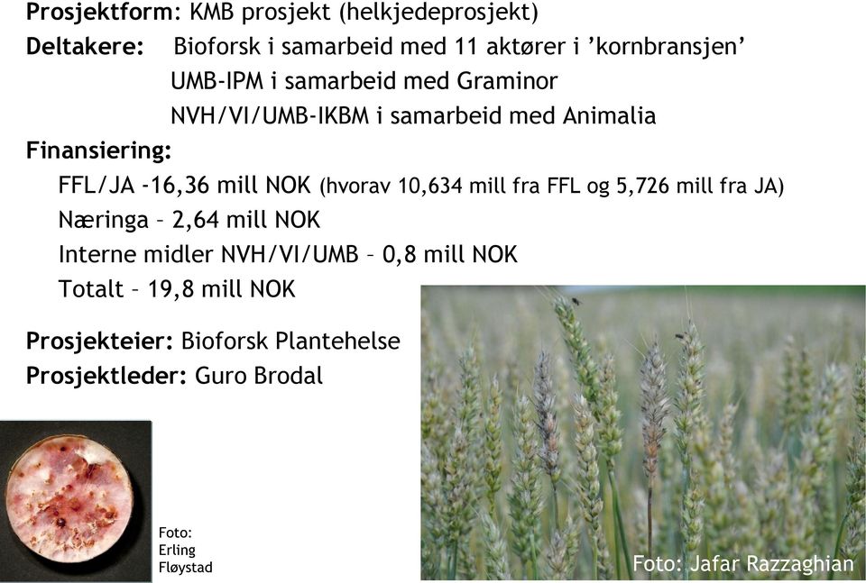 (hvorav 10,634 mill fra FFL og 5,726 mill fra JA) Næringa 2,64 mill NOK Interne midler NVH/VI/UMB 0,8 mill NOK