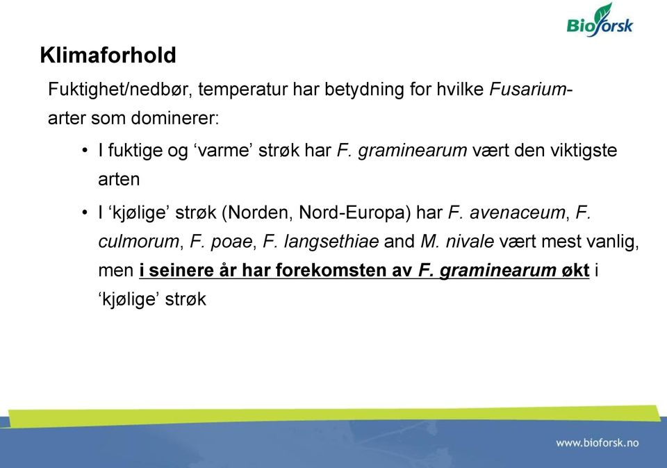 graminearum vært den viktigste arten I kjølige strøk (Norden, Nord-Europa) har F.