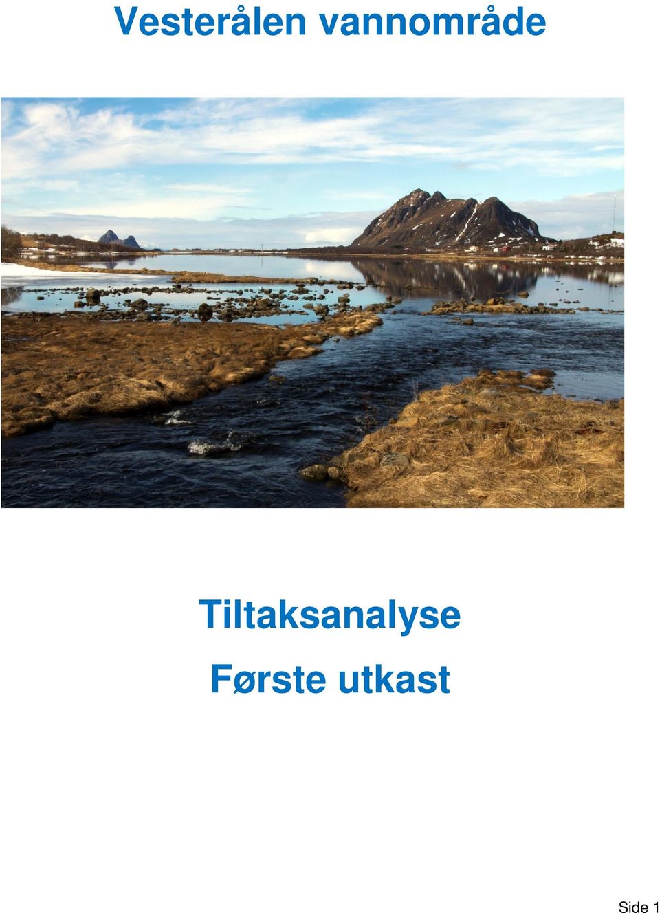 Tiltaksanalyse