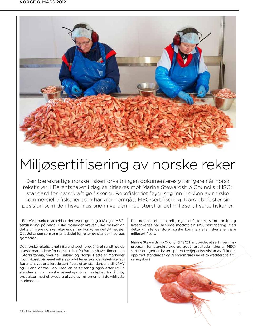 Councils (MSC) standard for bærekraftige fiskerier. Rekefiskeriet føyer seg inn i rekken av norske kommersielle fiskerier som har gjennomgått MSC-sertifisering.