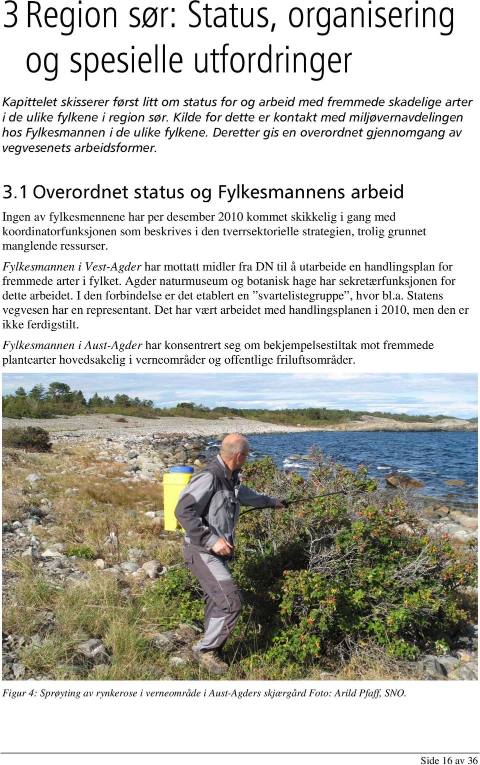 1 Overordnet status og Fylkesmannens arbeid Ingen av fylkesmennene har per desember 2010 kommet skikkelig i gang med koordinatorfunksjonen som beskrives i den tverrsektorielle strategien, trolig