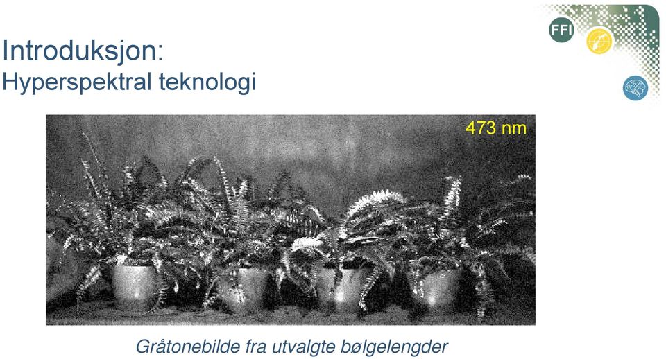 teknologi 473 nm