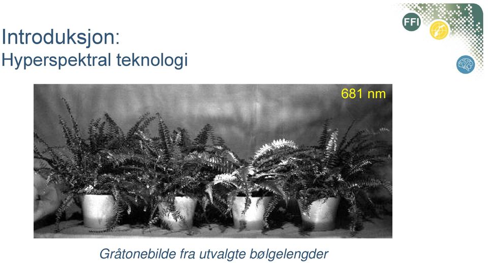 teknologi 681 nm