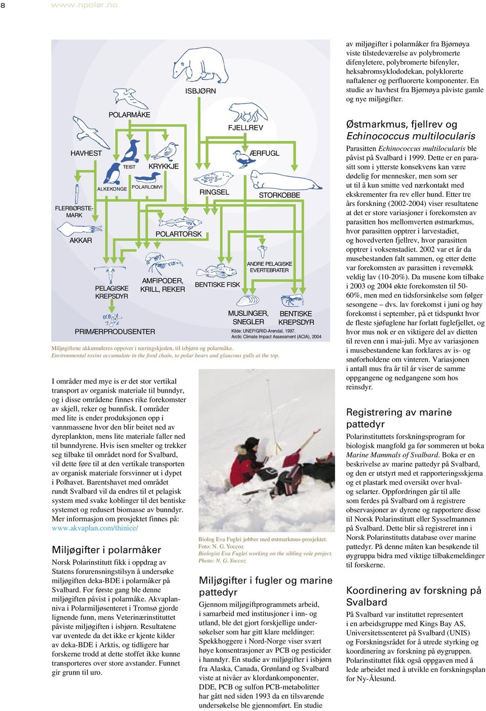 områdene finnes rike forekomster av skjell, reker og bunnfisk.