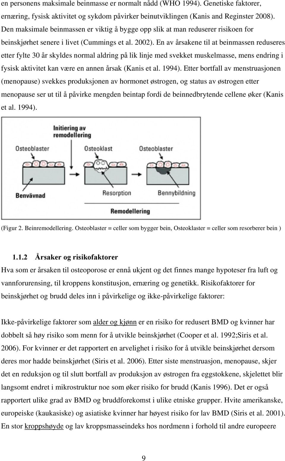 En av årsakene til at beinmassen reduseres etter fylte 30 år skyldes normal aldring på lik linje med svekket muskelmasse, mens endring i fysisk aktivitet kan være en annen årsak (Kanis et al. 1994).