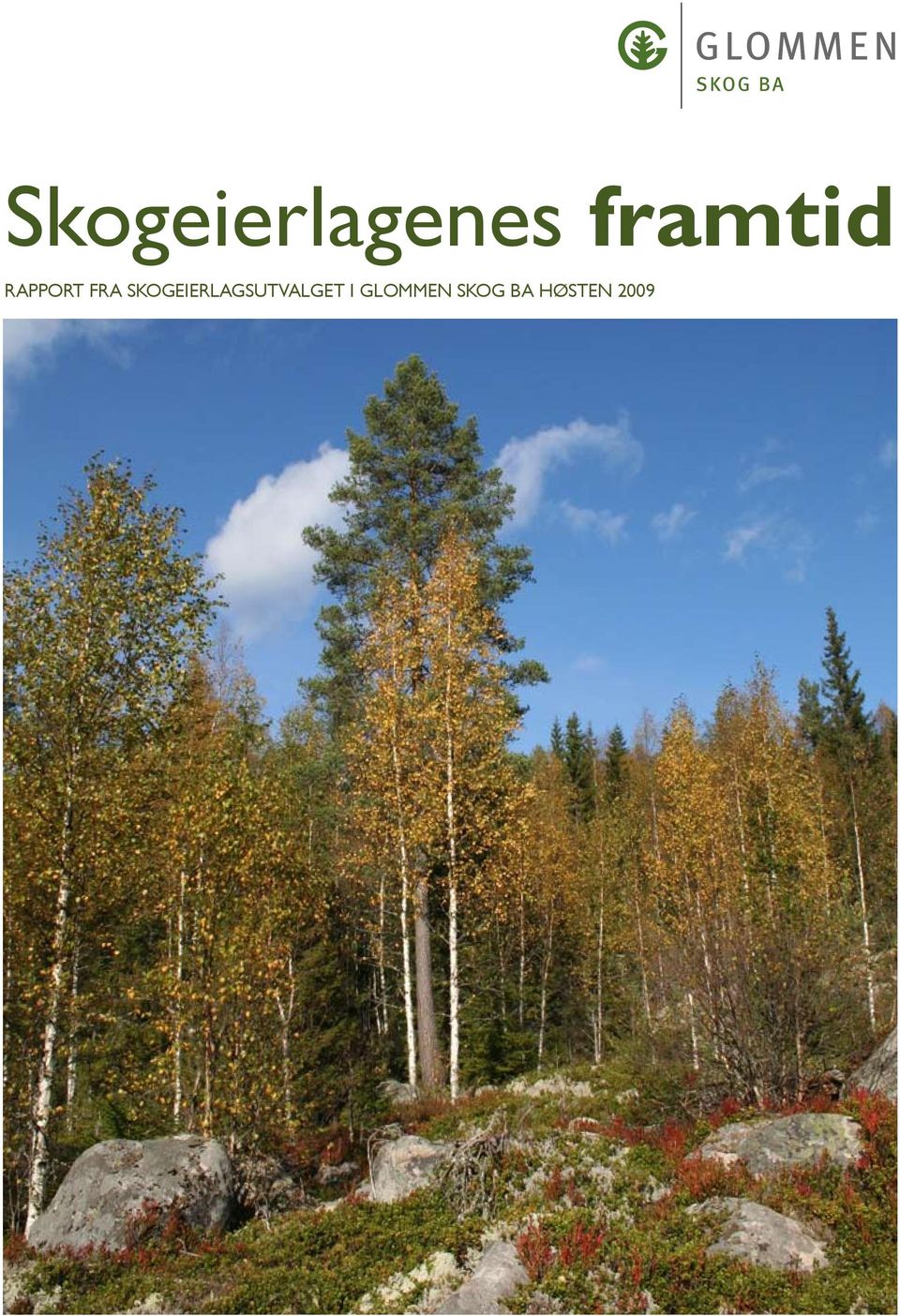 skogeierlagsutvalget i