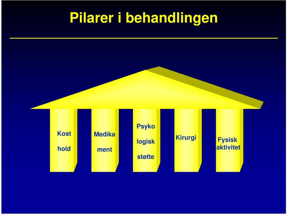 Psyko logisk støtte