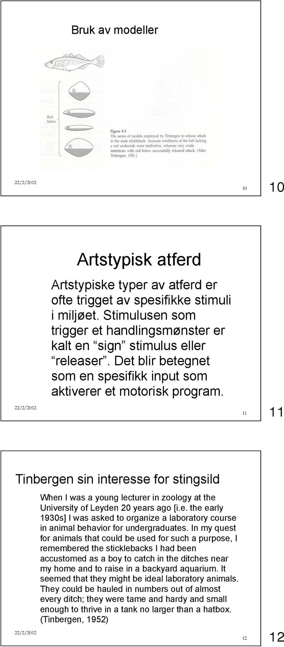 11 11 Tinbergen sin interesse for stingsild When I was a young lecturer in zoology at the University of Leyden 20 years ago [i.e. the early 1930s] I was asked to organize a laboratory course in animal behavior for undergraduates.