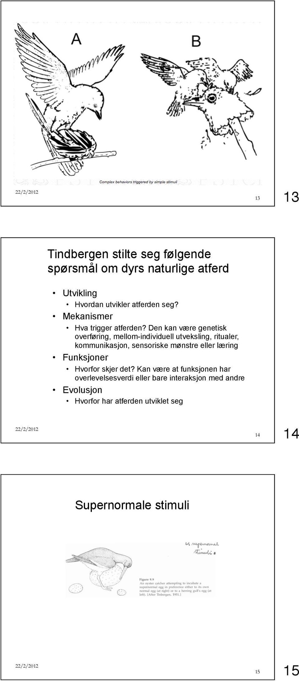 Den kan være genetisk overføring, mellom-individuell utveksling, ritualer, kommunikasjon, sensoriske mønstre