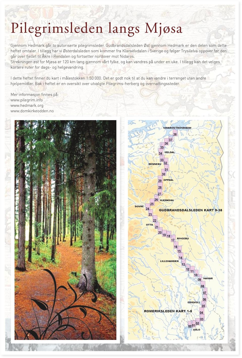 Strekningen øst for Mjøsa er 120 km lang gjennom vårt fylke, og kan vandres på under en uke. I tillegg kan det velges kortere ruter for dags- og helgevandring.