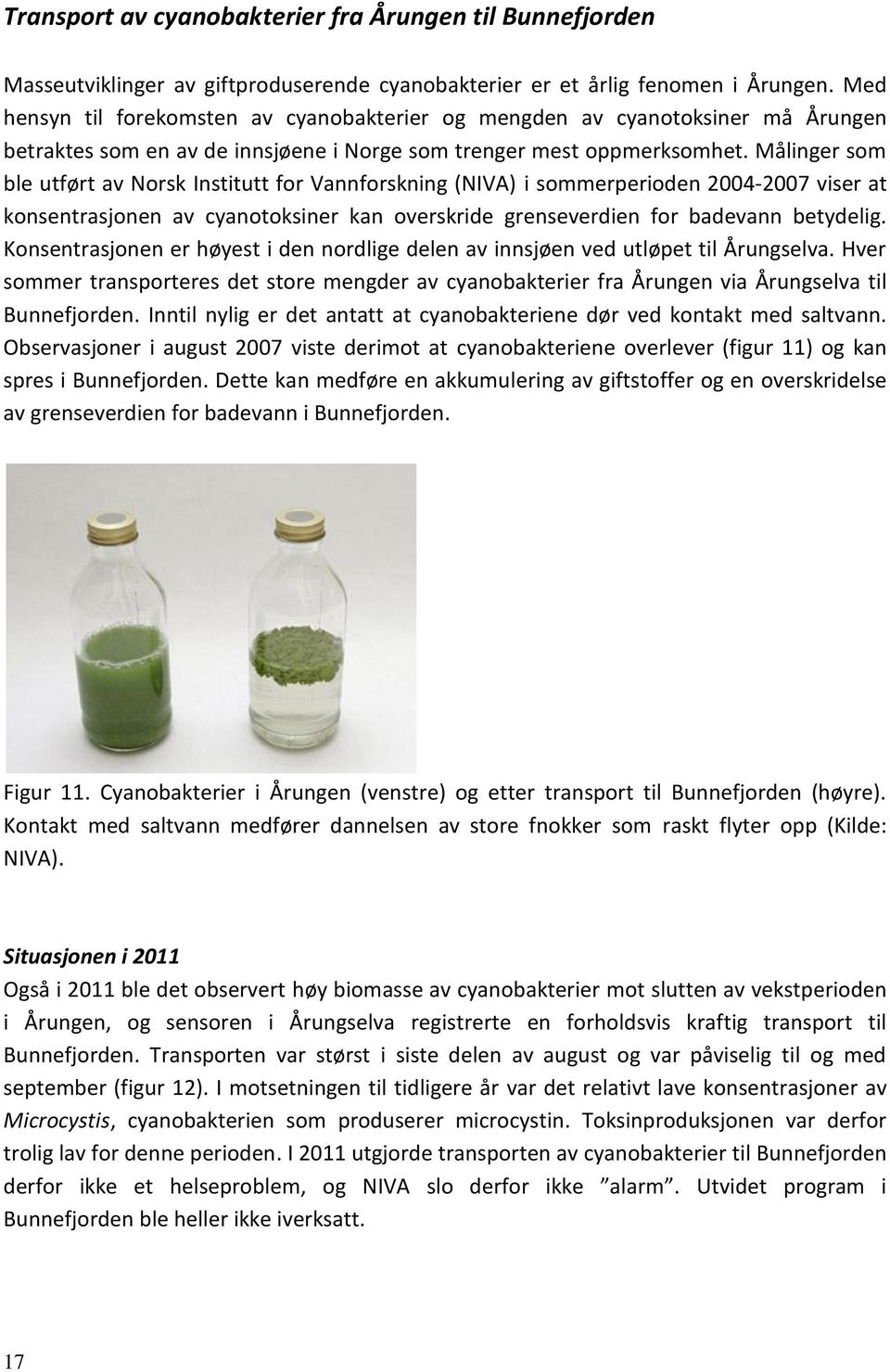 Målinger som ble utført av Norsk Institutt for Vannforskning (NIVA) i sommerperioden -7 viser at konsentrasjonen av cyanotoksiner kan overskride grenseverdien for badevann betydelig.