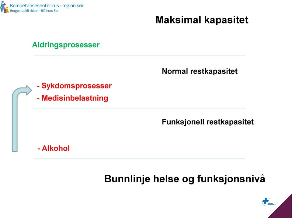 Medisinbelastning Funksjonell