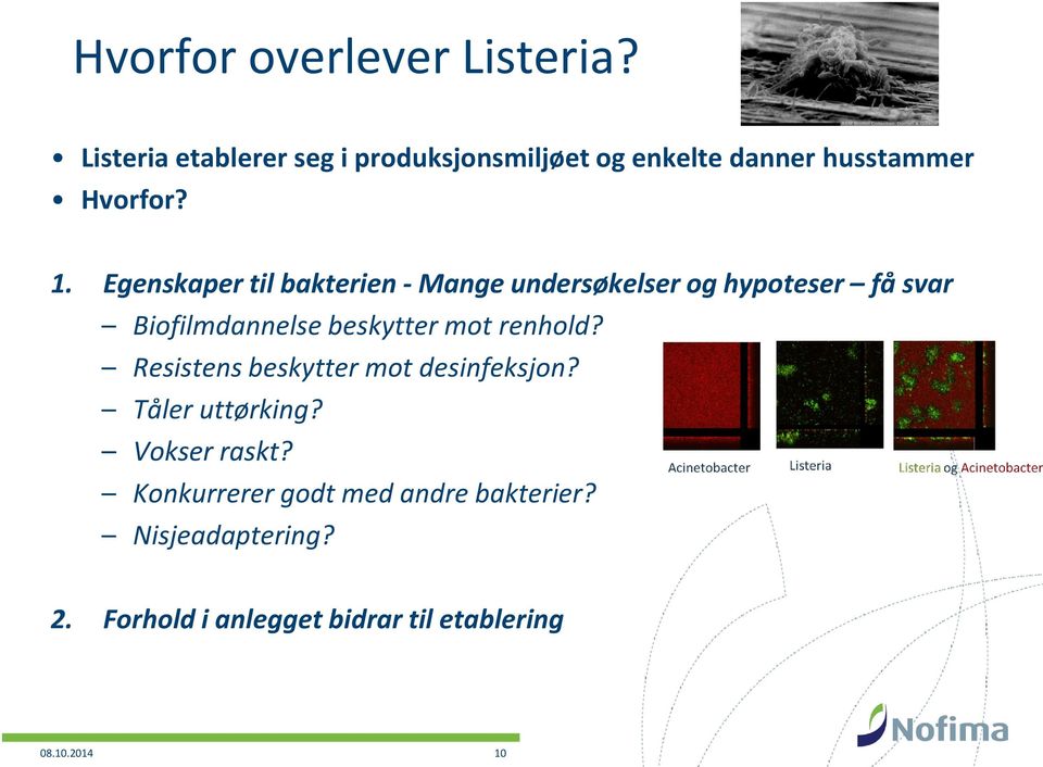 Egenskaper til bakterien - Mange undersøkelser og hypoteser få svar Biofilmdannelse beskytter mot