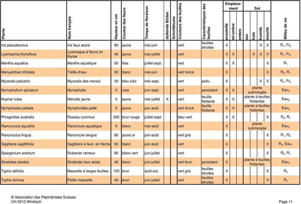 vert X X X R 1 Menyanthes trifoliata Trèfle-d'eau 30 blanc mai-juin vert foncé X X R 2, R 1 Myosotis palustris Myosotis des marais 20 bleu clair mai-sept.