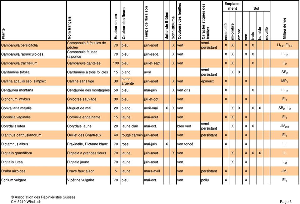 simplex Carline sans tige 30 blanc argenté X X SB 2 juin-août X vert épineux X X MP 1 Centaurea montana Centaurée des montagnes 50 bleu mai-juin X vert gris X X Li 1-2 Cichorium intybus Chicorée